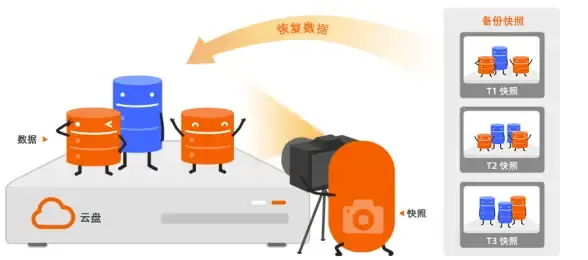 企业加速,云服务器-棉花云国内服务器助力企业网站加速