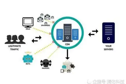 策略干货·六费卡·赛季剖析《金铲铲之战》S13六费卡终极优势全攻略！