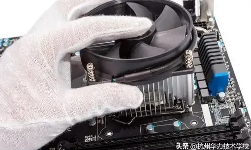 强劲性能助力企业建站！揭秘新加坡VPS核心优势｜深度解读—科技创新】
