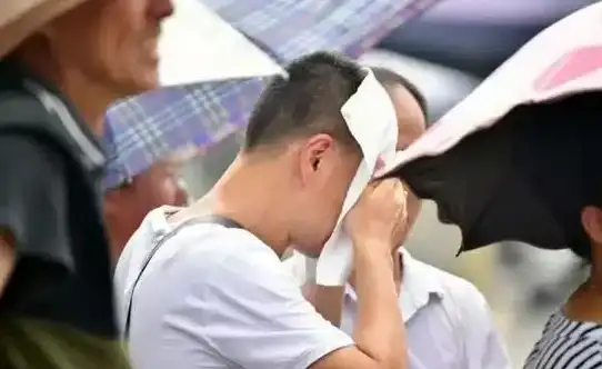 游戏攻略🔥神仙道拜师等级详解与核心玩法全揭秘