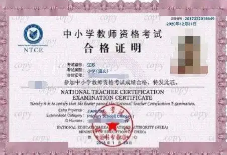 角色推荐🔥辐射4带哪个队友战斗力最强解析詳解