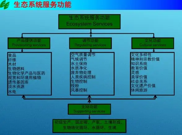 趣味挑战⚡升级攻略⚡角色对比 弹弹堂绿芽波谷哪个更适合快速升级