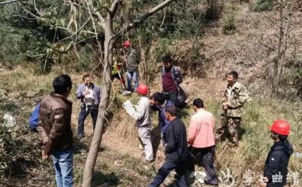 策略推荐 团队协作 梦灵搭配 无尽梦回》最全梦灵攻略解析！