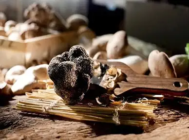 狂欢🎉限时抢购🎉超值特惠 冬促笑传之刺刺背 热门佳作史低先享