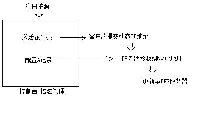 【直击焦点】深度解析｜日本VPS录播数据防护新举措 网络安全提示
