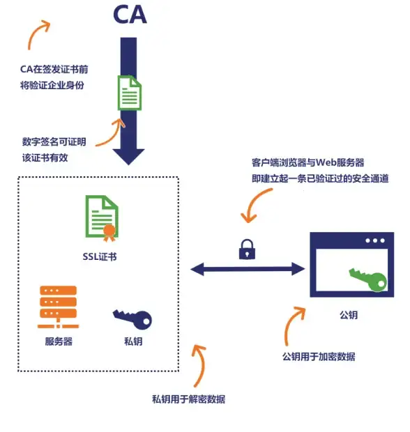 追踪优酷下载新变化丨无法下载真相曝光，App更新须知｜视频揭秘】