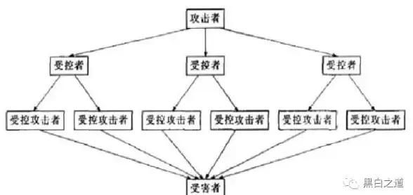 聚焦｜实用指南—网站搭建技巧】ASP源码快速创建个人站，合规流程详解！