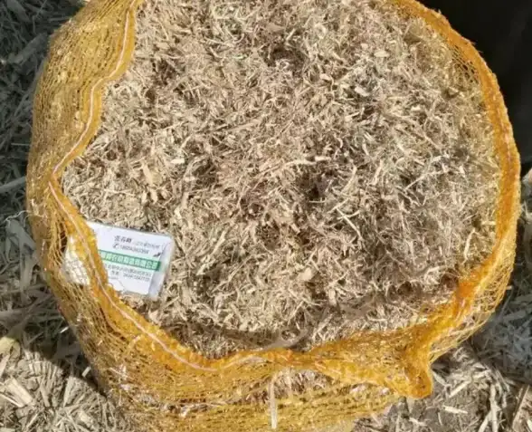 独家速递┃高效VPS动态拨号神器亮相！稳定连接技巧全解析【工具推荐】