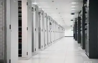 高防VPS🛡DDoS防护—bitsflow盐湖城节点能否成为最佳抗DDoS选择