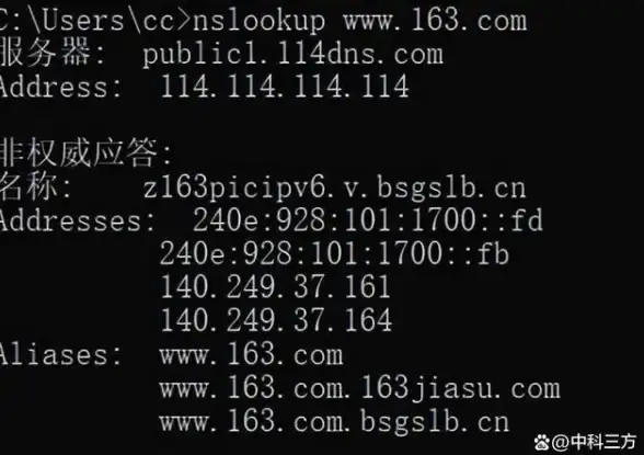 深入探秘黄金四目阿措角色档案中的背景故事