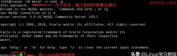 Redis 数据库 红色山势深度解析Redis之美，探讨为何选择redis
