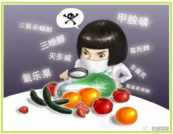 游戏攻略🔥DNF扭曲挑战书性价比深度剖析与实用对比