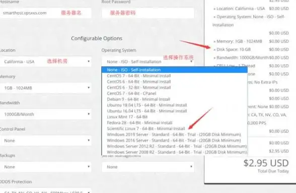 日本VPS 网络速度对比｜莱卡云三网回程实测与性能解析