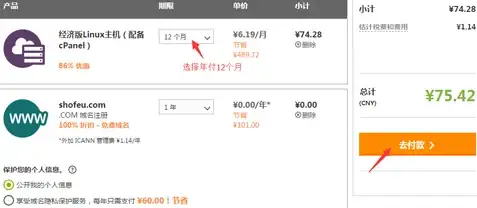 关联趋势直击｜科技先锋解读—动态拨号VPS全能指南【美国VPS必备观察】