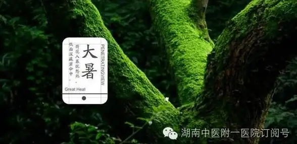 MySQL修复 远程处理 MySQL Error number:3839;ER_INNODB_REDO_LOG_ARCHIVE_START_SUBDIR_PATH 报错解决方法