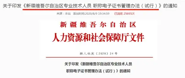 网络优化,跨境通信-电信CN2对香港专线网络的关键作用