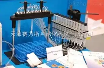 📢攻略秘籍🔥最强解析🔝剑与远征启程霍德希金技能全解+顶级出装推荐