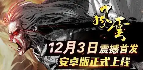服务器抓鸡难题丨深度剖析全新解决思路！服务器运维】实用技巧速览