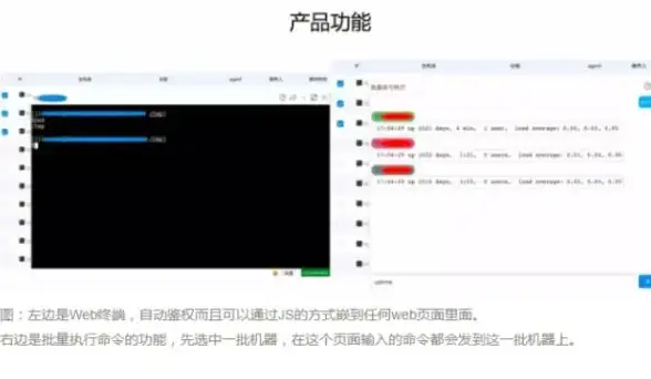 VPS测评🚀多伦多主机｜RackNerd多伦多VPS全方位深度解析
