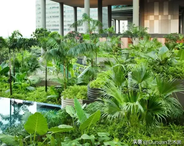 重磅攻略◆全能详解◆实战必看《崩坏星穹铁道》忘归人光锥终极优选指南！