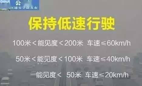 标签🌟植物大战僵尸🌟冒险挑战 高效通关攻略详解6-1