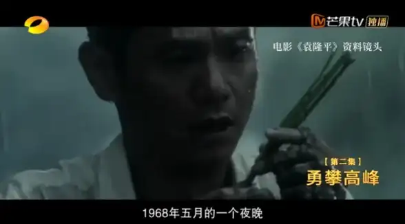 德国服务器推荐🚀住宅IP专享：高速稳定VDS，轻松解锁德国全境网络