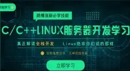 德国服务器推荐🚀住宅IP专享：高速稳定VDS，轻松解锁德国全境网络