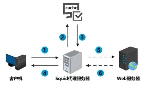 【必看攻略】武器精选】属性深度】剑灵2新手武器推荐与全属性解析技巧