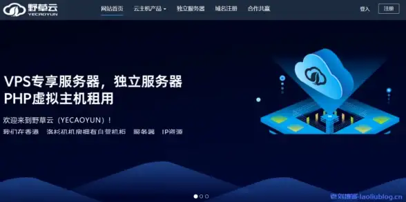 真三国无双起源虚鸾获取方法