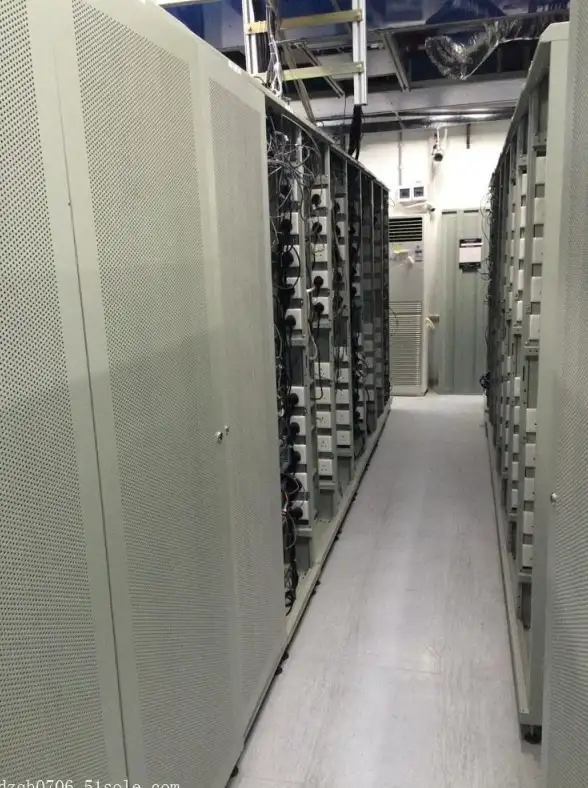 角色攻略🔥战双帕弥什 赛琳娜·希声终极技能解析与实战宝典