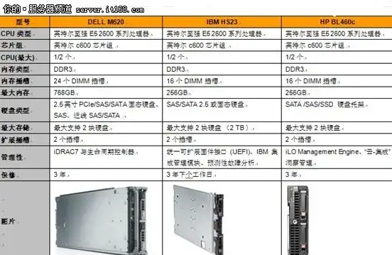 宠物对比🔥弹弹堂橙色宠物全面属性深度剖析