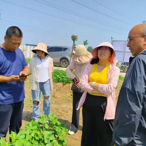 💡聚焦云主机甄选要诀｜新手必看，防踩违规资金盘深坑—云计算行业精选指南】