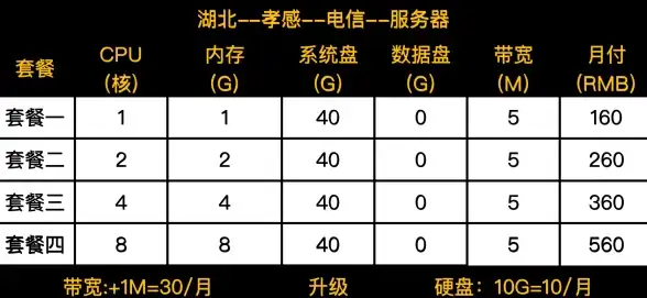 ⚡提升全球连通性｜海外电信VPS选购指南【国际云网优化】加速跨境业务访问，关键选购提醒