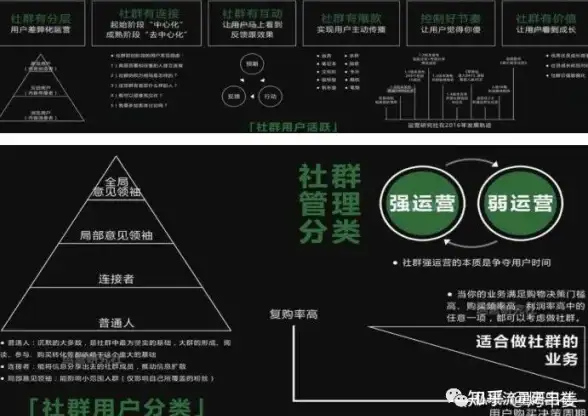🔥绝佳战术🔥最强莉法妮队伍构建方案全解秘技