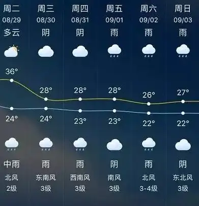 战争🔥策略🔥深度解析 钢岚纷争前线：法兰河战役全面剖析指南