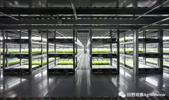 奇幻◎悬疑◎人物 深度揭秘《异环》翳角色背景及剧情核心价值！