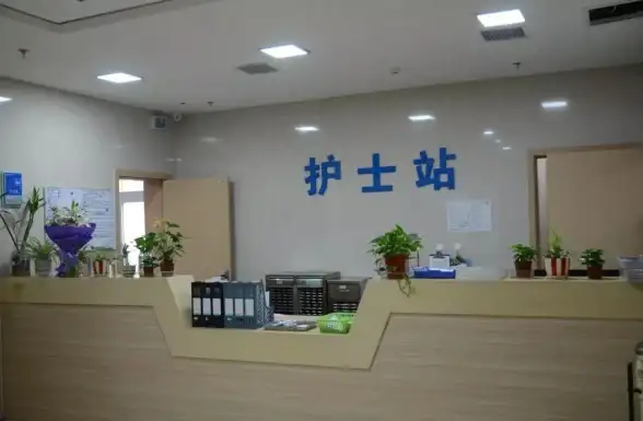 动作冒险🔥独立游戏 Steam爆款《逃离鸭科夫》2025震撼发售