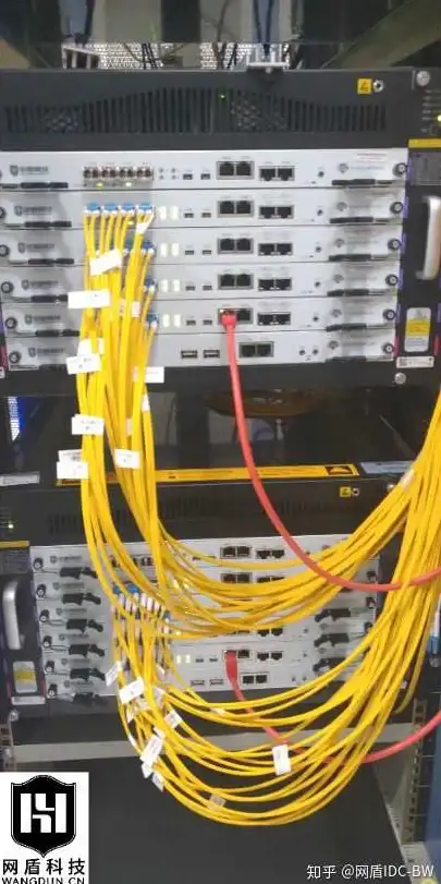 聚焦北美VPS｜安全防护全指南—政策解读与实用提醒【云计算安全】