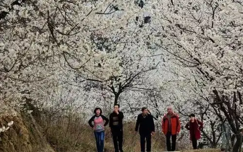 游戏秘籍 超强手法 玩法详解 我的世界移动版教你打造致命杀人床！