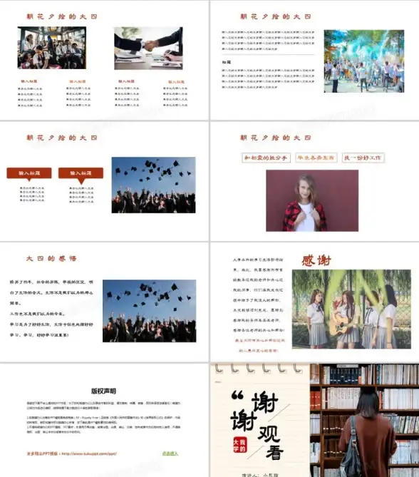 养殖🔥热门推荐 游戏攻略 玩法详解