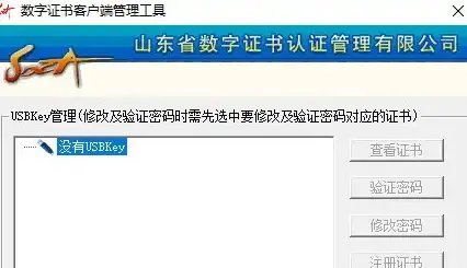 高速网络🚀极速体验｜搬瓦工VPS：10Gbps带宽与CN2专线带来极致速度