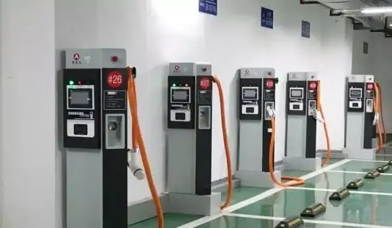 🌟果园攻略🌟高产秘诀🌟雪梨种植《织梦森林》爆款栽培技巧解析！