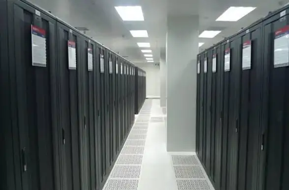 芝加哥VPS 高质量IP lisahost芝加哥住宅VPS，双ISP网络，IP纯净稳定
