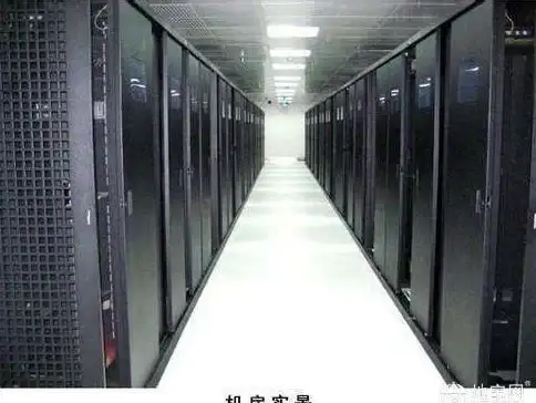 武器攻略🔥饥荒高手必看刺耳三叉戟性能深度解析