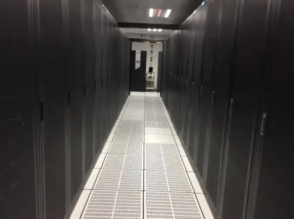 高速网络🚀原生IP｜bitsflow香港VPS：500M带宽服务器助力稳定连接