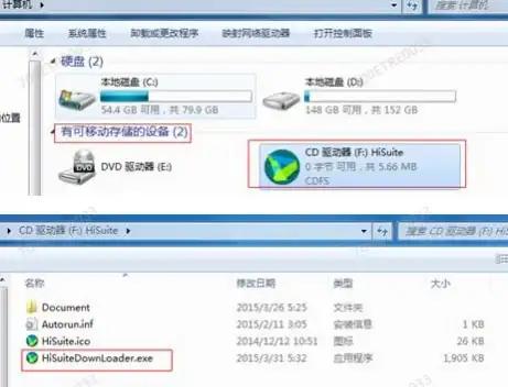 策略指南🔥实力评测 小小蚁国黑色猛蚁全面升级建议与强度深度解析