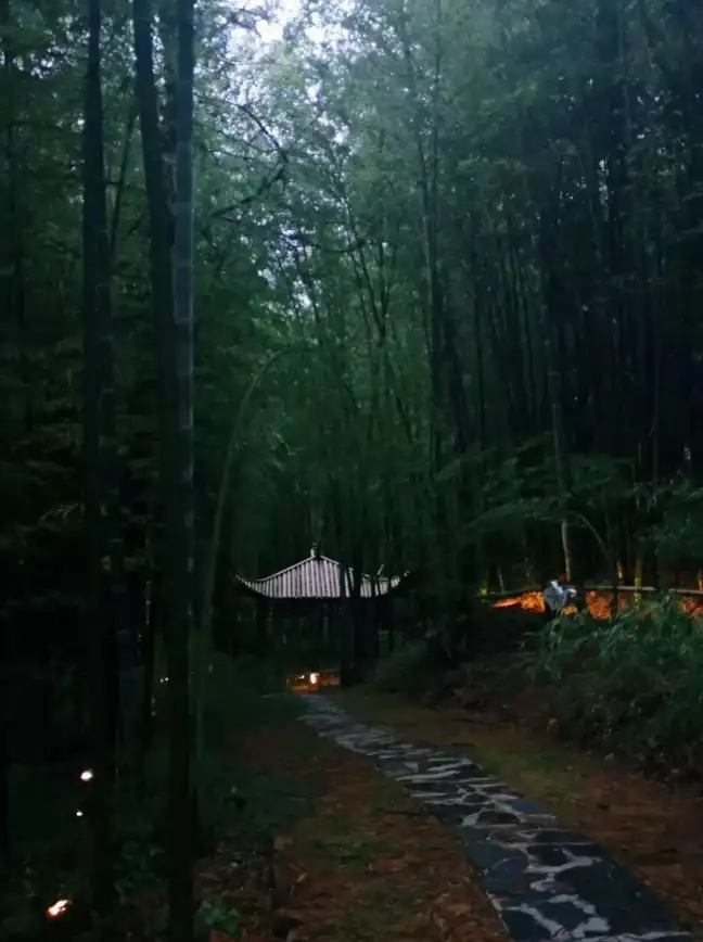 新手必看★竹枪VS弹弹堂玩法大揭秘，入门选择全解析