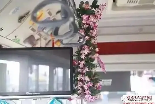 策略详解💡角色养成💥西游笔绘西行》最佳角色搭配技巧指南