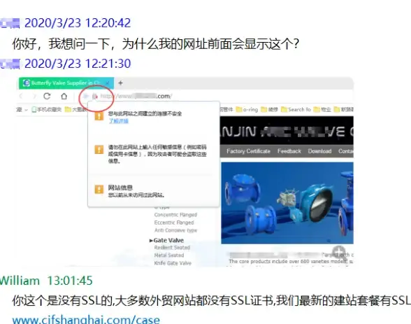 揭秘生肖谜语奥秘｜红杏出墙生肖含义详析！生肖文化深度解读【行业聚焦】