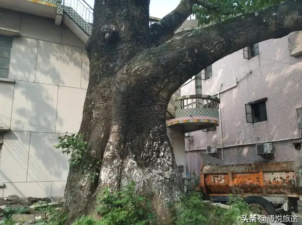 破解“Error下载”瓶颈！极速指南｜互联网合规应对策略 问题解决全解析